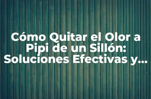 Cómo Quitar el Olor a Pipi de un Sillón: Soluciones Efectivas y Fáciles