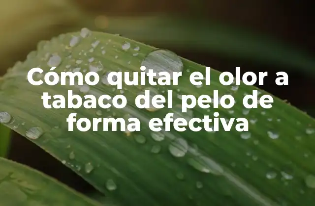 ¿Por qué es tan difícil quitar el olor a tabaco del pelo?