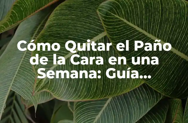 Cómo Quitar el Paño de la Cara en una Semana: Guía Detallada y Efectiva