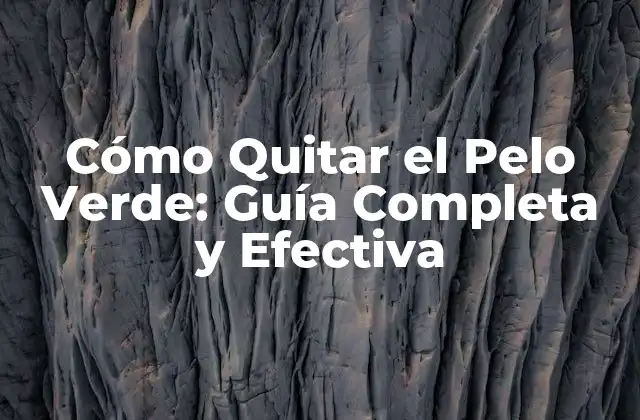 Cómo Quitar el Pelo Verde: Guía Completa y Efectiva