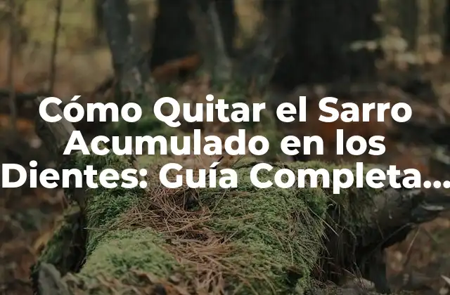 Cómo Quitar el Sarro Acumulado en los Dientes: Guía Completa y Actualizada