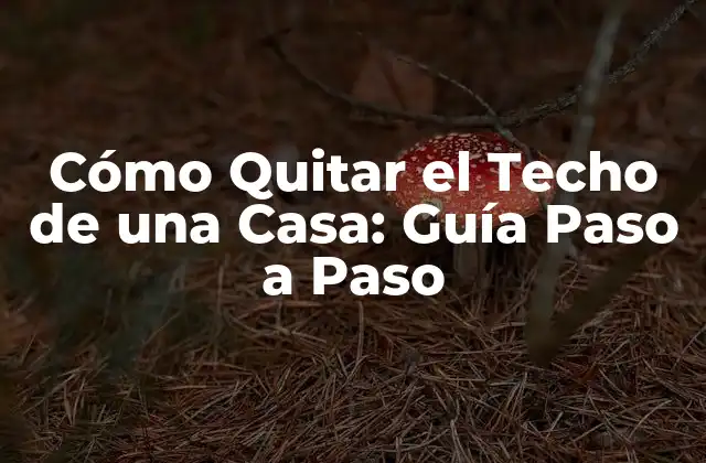 Cómo Quitar el Techo de una Casa: Guía Paso a Paso 2 Preparación y Planificación