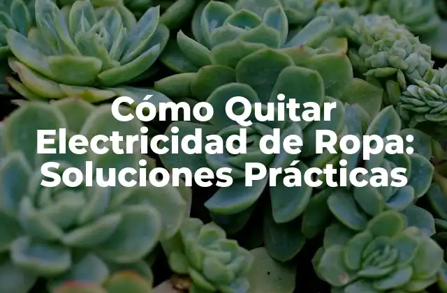 Cómo Quitar Electricidad de Ropa: Soluciones Prácticas