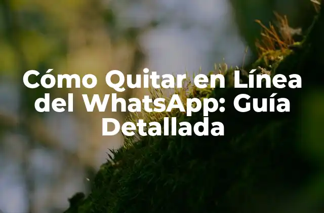 Cómo Quitar en Línea Del Whatsapp: Guía Detallada