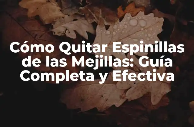 Cómo Quitar Espinillas de las Mejillas: Guía Completa y Efectiva