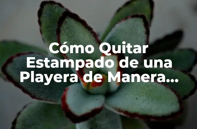 Cómo Quitar Estampado de una Playera de Manera Segura y Eficiente