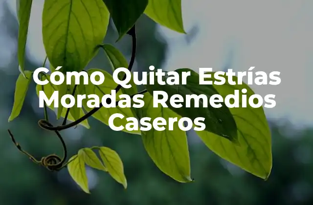 Cómo Quitar Estrías Moradas Remedios Caseros