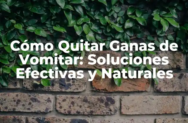 Cómo Quitar Ganas de Vomitar: Soluciones Efectivas y Naturales 2 Causas Comunes de las Ganas de Vomitar