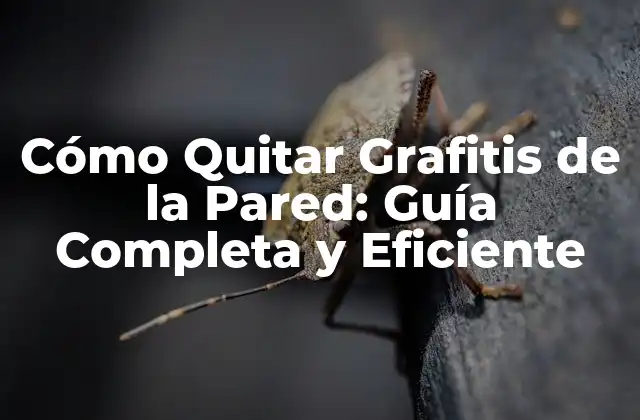Cómo Quitar Grafitis de la Pared: Guía Completa y Eficiente