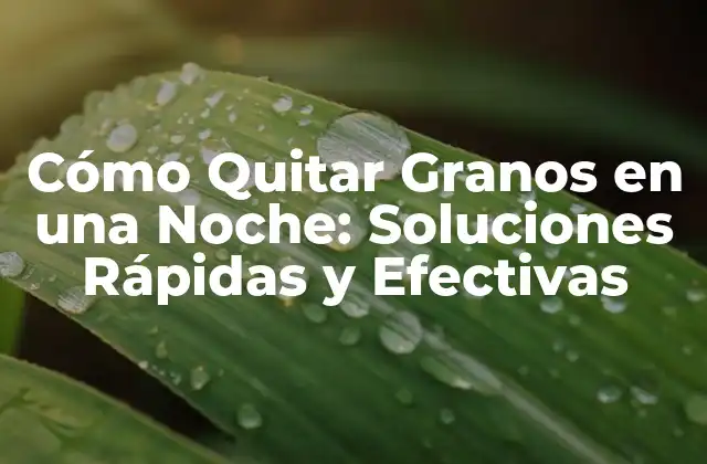 Cómo Quitar Granos en una Noche: Soluciones Rápidas y Efectivas