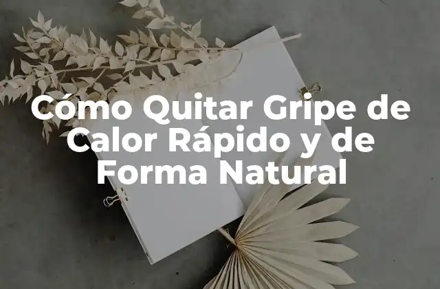 Cómo Quitar Gripe de Calor Rápido y de Forma Natural