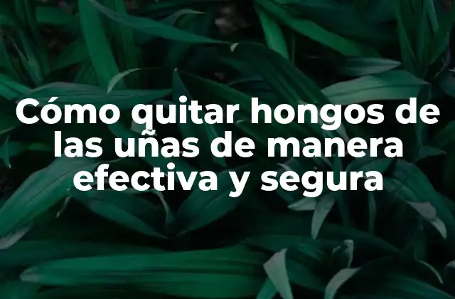 Cómo Quitar Hongos de las Uñas de Manera Efectiva y Segura