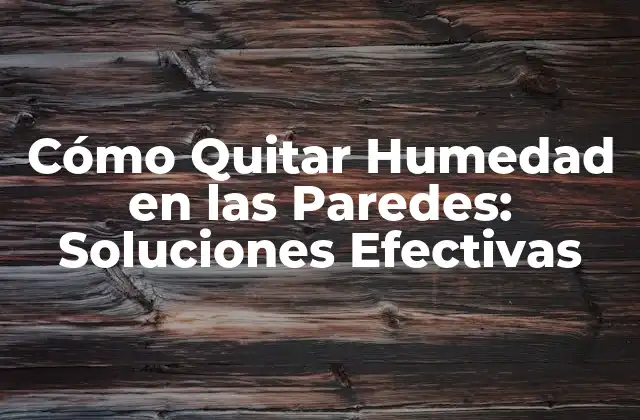 Causas de la Humedad en las Paredes