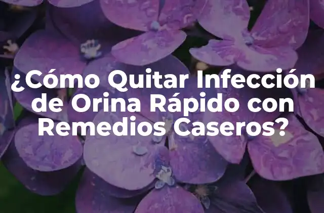 ¿cómo Quitar Infección de Orina Rápido con Remedios Caseros?