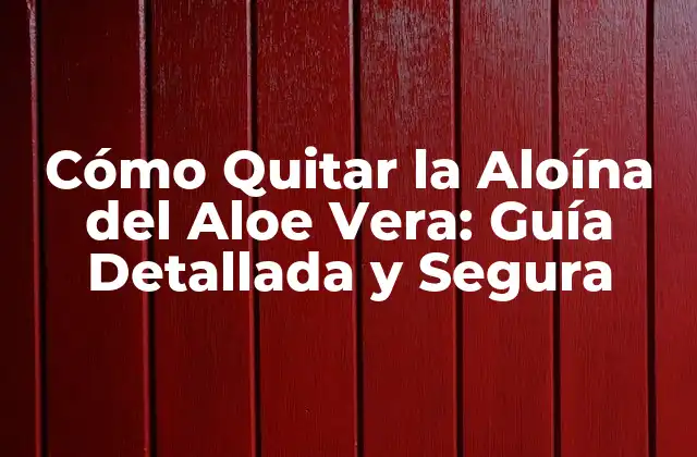 Cómo Quitar la Aloína Del Aloe Vera: Guía Detallada y Segura