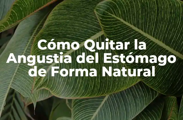 Cómo Quitar la Angustia Del Estómago de Forma Natural