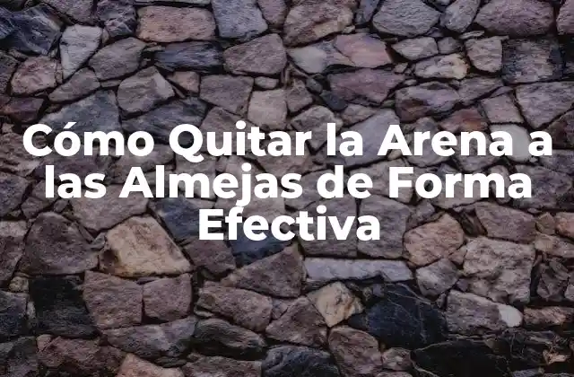 Cómo Quitar la Arena a las Almejas de Forma Efectiva