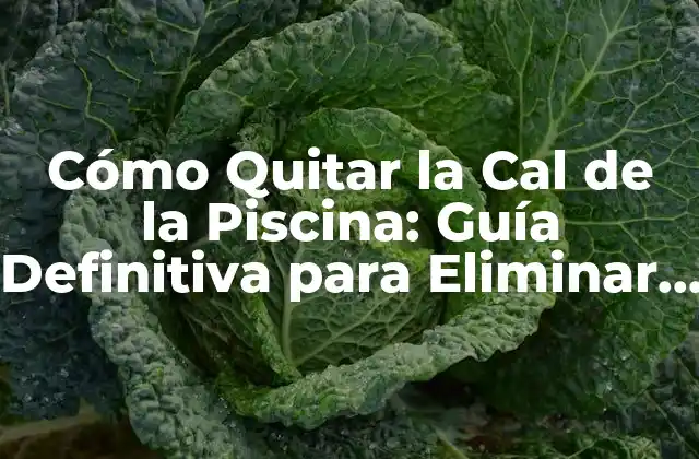 Cómo Quitar la Cal de la Piscina: Guía Definitiva para Eliminar la Calcinosis