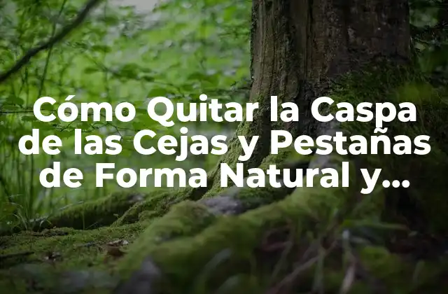 Cómo Quitar la Caspa de las Cejas y Pestañas de Forma Natural y Segura