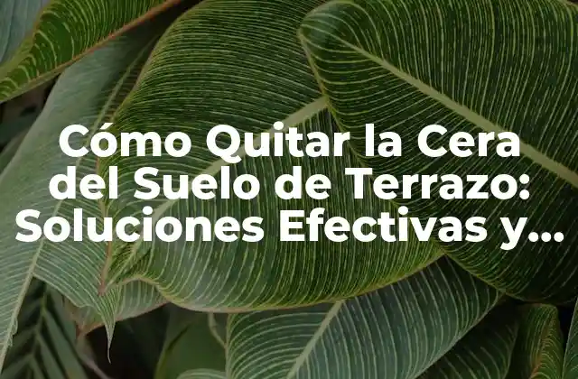 Cómo Quitar la Cera Del Suelo de Terrazo: Soluciones Efectivas y Seguras