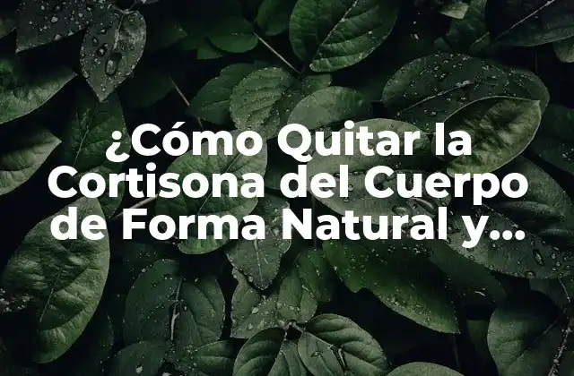 ¿cómo Quitar la Cortisona Del Cuerpo de Forma Natural y Segura?