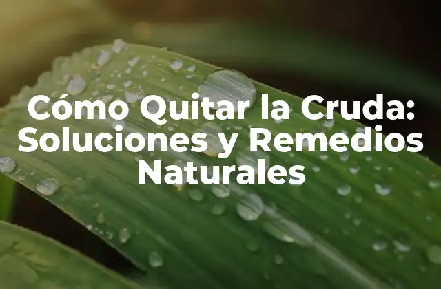 Cómo Quitar la Cruda: Soluciones y Remedios Naturales