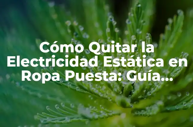 Cómo Quitar la Electricidad Estática en Ropa Puesta: Guía Completa 2 Causas de la Electricidad Estática en Ropa Puesta
