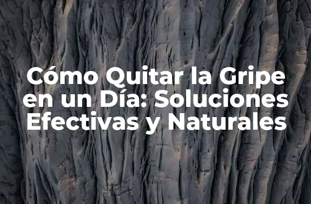 Cómo Quitar la Gripe en un Día: Soluciones Efectivas y Naturales
