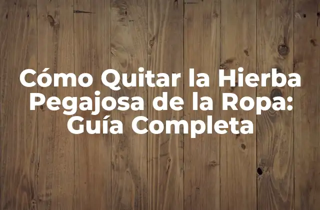 Cómo Quitar la Hierba Pegajosa de la Ropa: Guía Completa