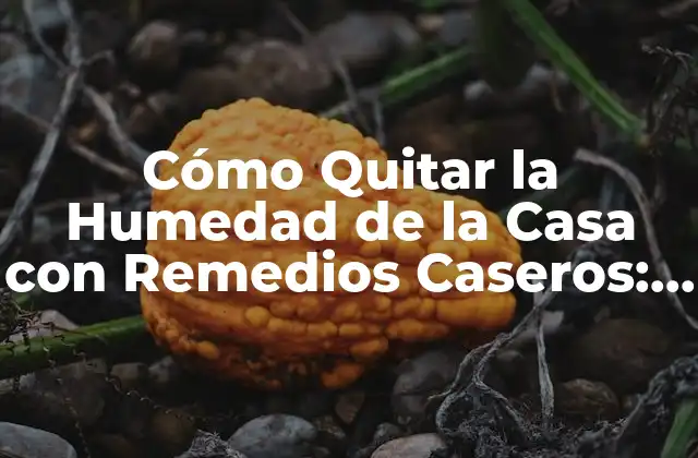 Cómo Quitar la Humedad de la Casa con Remedios Caseros: Soluciones Efectivas