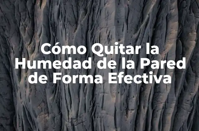 Cómo Quitar la Humedad de la Pared de Forma Efectiva