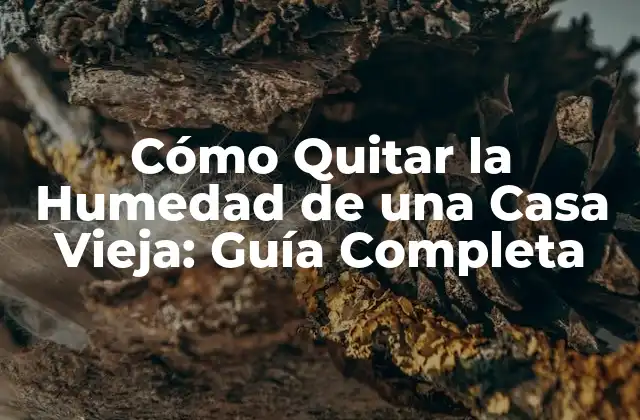 Cómo Quitar la Humedad de una Casa Vieja: Guía Completa