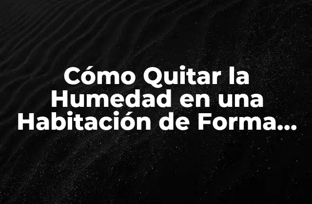 Cómo Quitar la Humedad en una Habitación de Forma Efectiva 2 Causas Comunes de la Humedad en las Habitaciones