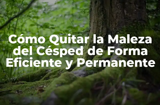 Identificar el Tipo de Maleza