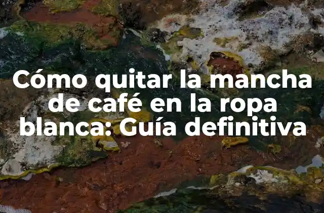 Cómo Quitar la Mancha de Café en la Ropa Blanca: Guía Definitiva
