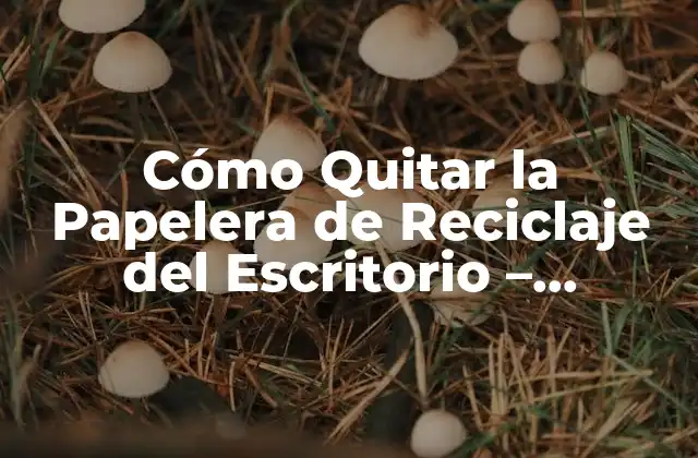 Cómo Quitar la Papelera de Reciclaje Del Escritorio – Solución Definitiva