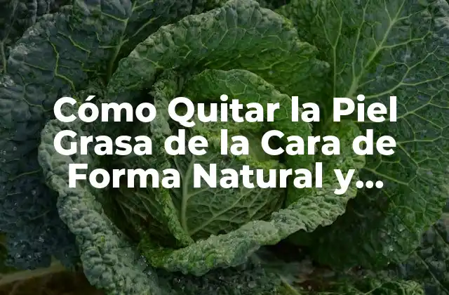 Cómo Quitar la Piel Grasa de la Cara de Forma Natural y Permanente