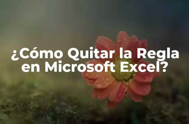 ¿cómo Quitar la Regla en Microsoft Excel?