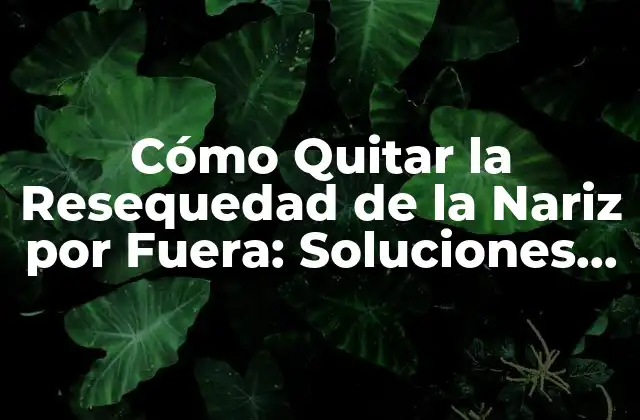 Cómo Quitar la Resequedad de la Nariz por Fuera: Soluciones Efectivas