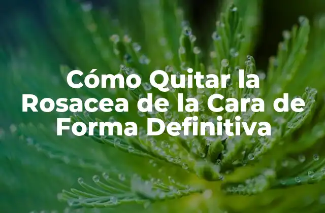 Cómo Quitar la Rosacea de la Cara de Forma Definitiva