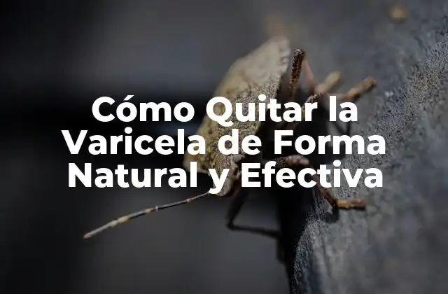 Cómo Quitar la Varicela de Forma Natural y Efectiva