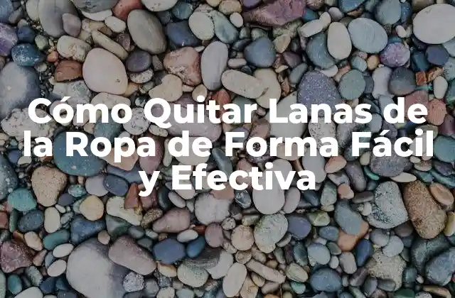¿Por qué es importante quitar lanas de la ropa?