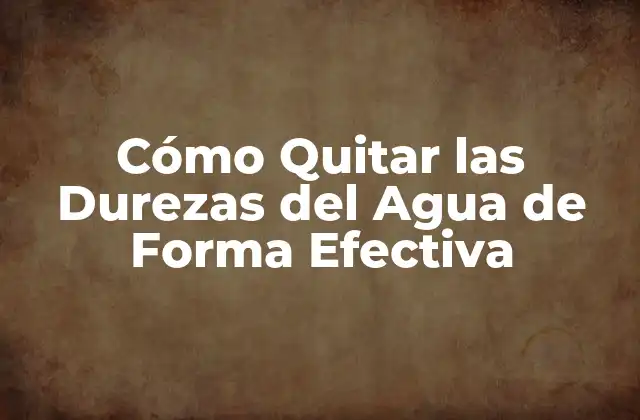 Cómo Quitar las Durezas Del Agua de Forma Efectiva