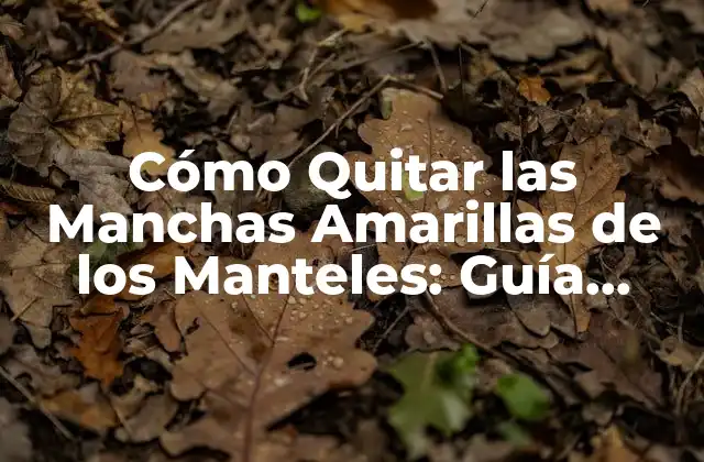 Cómo Quitar las Manchas Amarillas de los Manteles: Guía Completa