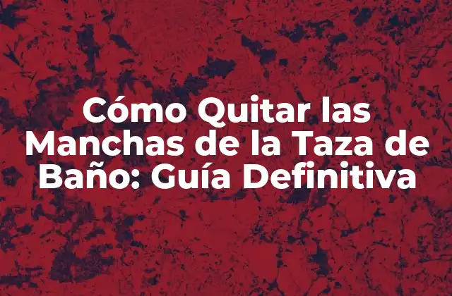 Cómo Quitar las Manchas de la Taza de Baño: Guía Definitiva