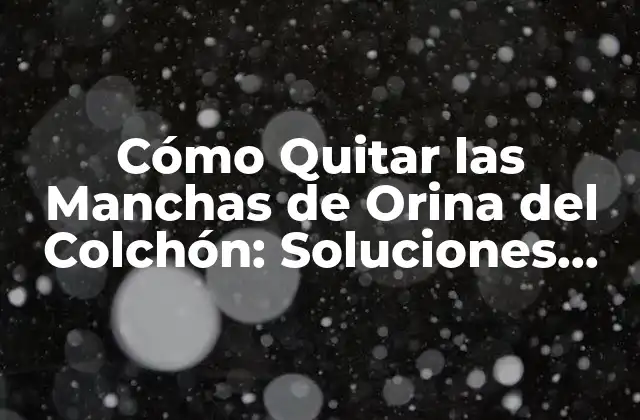 Cómo Quitar las Manchas de Orina Del Colchón: Soluciones Eficientes y Efectivas