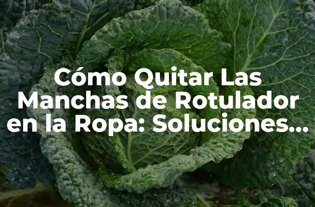 ¿Por qué las Manchas de Rotulador son Tan Difíciles de Quitar?