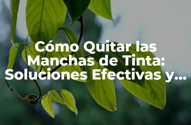 Cómo Quitar las Manchas de Tinta: Soluciones Efectivas y Consejos Prácticos