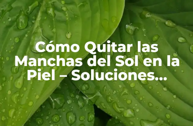 Cómo Quitar las Manchas Del Sol en la Piel – Soluciones Naturales y Efectivas