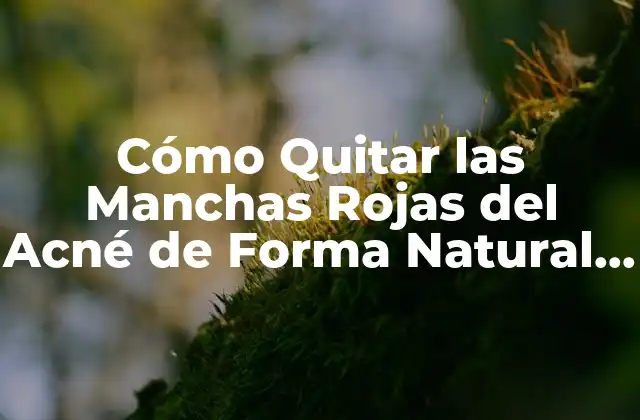 Cómo Quitar las Manchas Rojas Del Acné de Forma Natural y Permanente